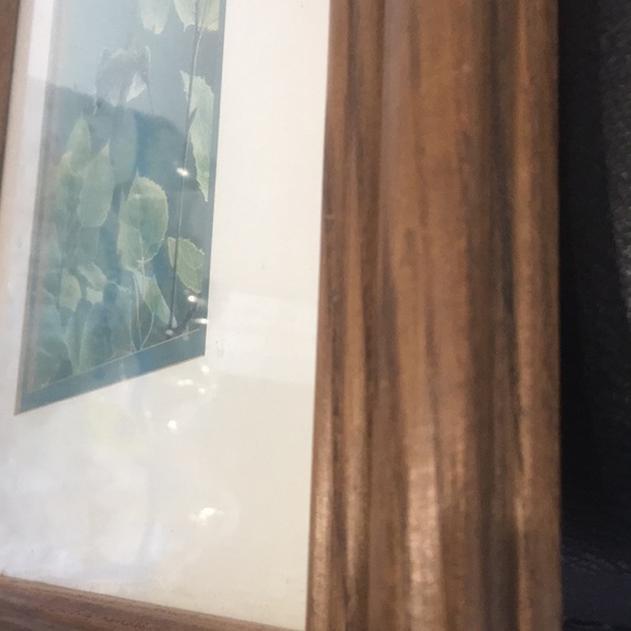 Framed Hummingbird Art Print in a Solid Oak Frame 14.5x12.5" - Picture 5 of 10